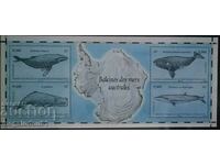 Френска Антарктида( ТААФ ) - китове