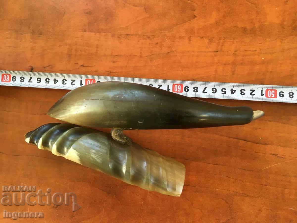 STATUETTE SCULPTURE FIGURE OF BIRD HORN - 5 STATUETTE SCULPTURE FIGURE OF BIRD HORN - 5