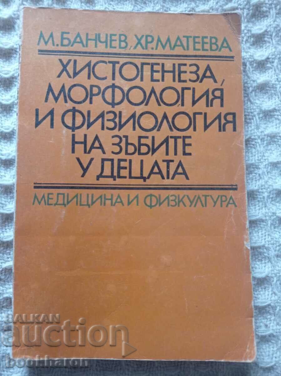 Histogenesis, morphology and physiology of teeth in children