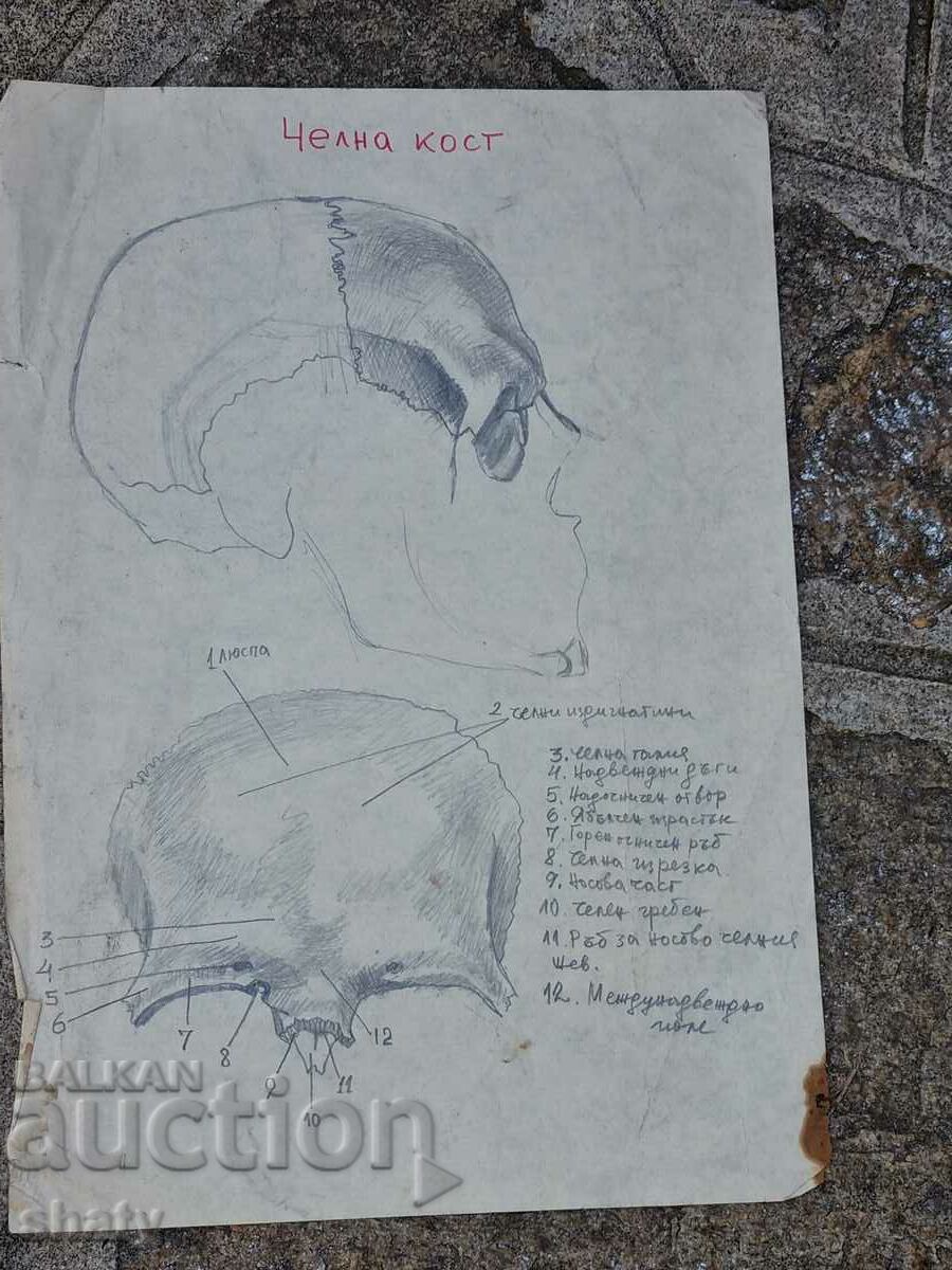 Delivery of Old graphics Delivery of Old graphics