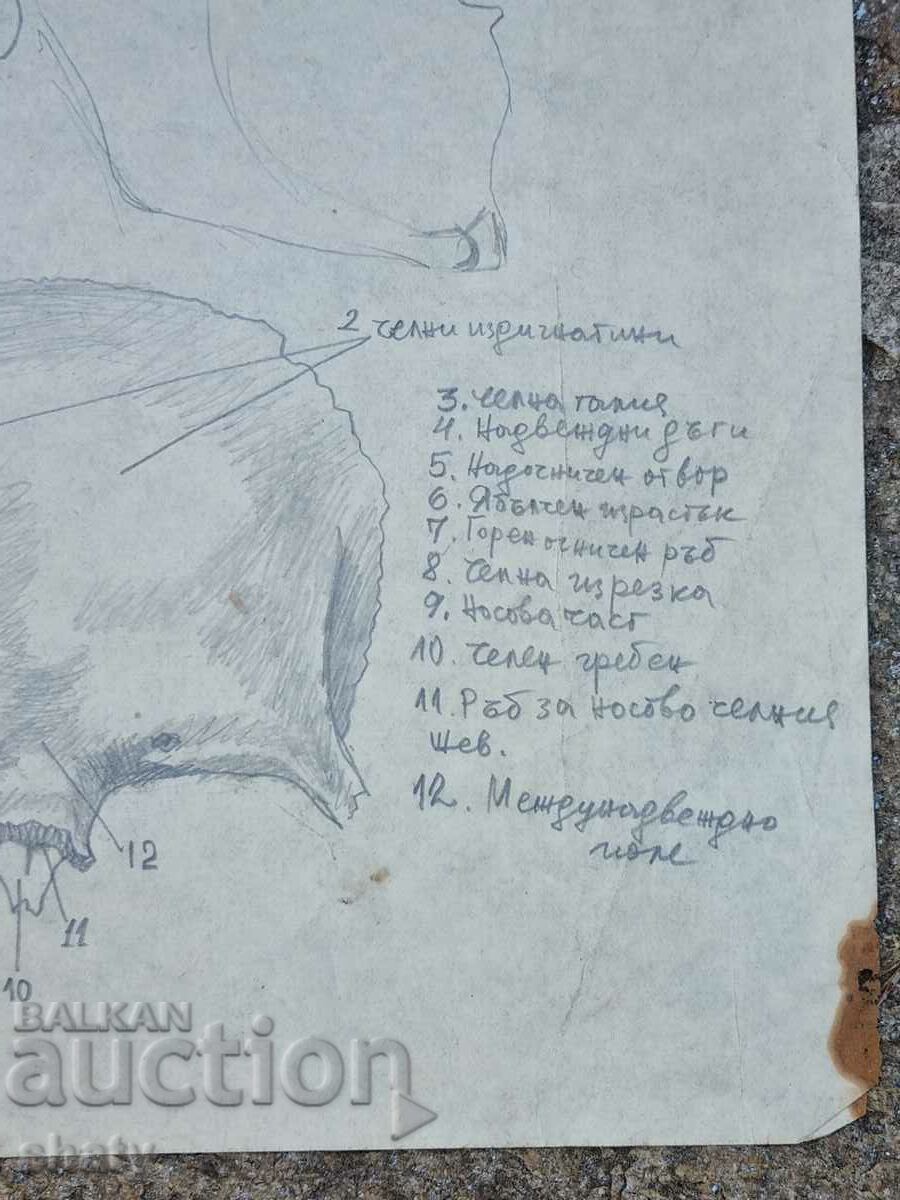 Old graphics - 5 Old graphics - 5