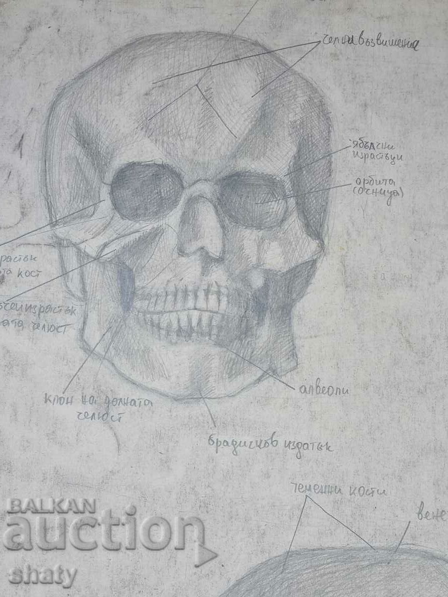 Auction Old graphics Auction Old graphics