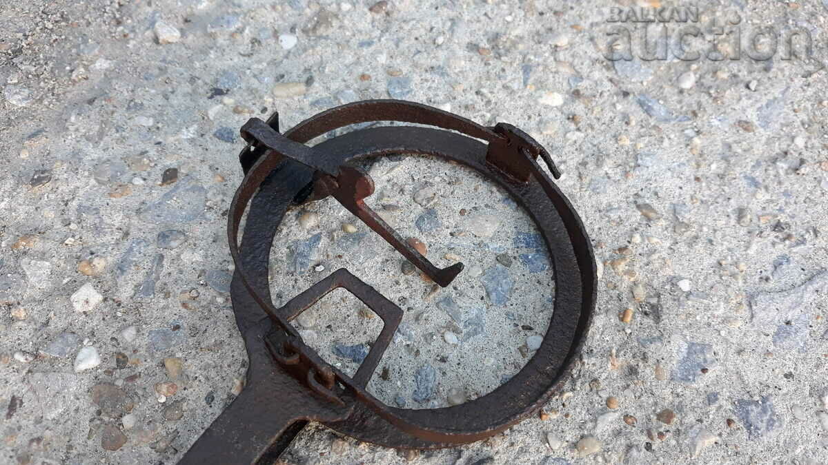 Auction mini mouse trap trap Auction mini mouse trap trap