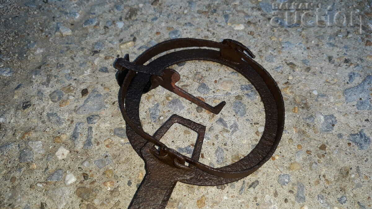 Delivery of mini mouse trap trap Delivery of mini mouse trap trap