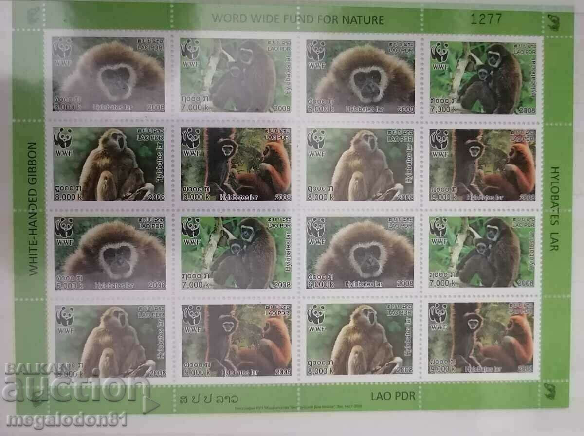 Λάος - WWF, griffon gibbon