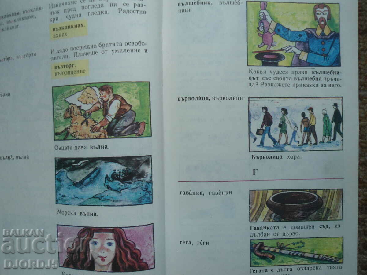 Delivery of Picture dictionary for the first grader, D. Ivancheva, E. Kotova Delivery of Picture dictionary for the first grader, D. Ivancheva, E. Kotova