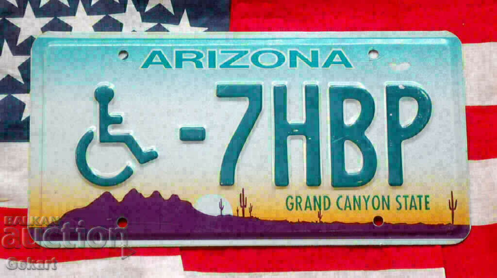 US License Plate Plate ARIZONA Invalid