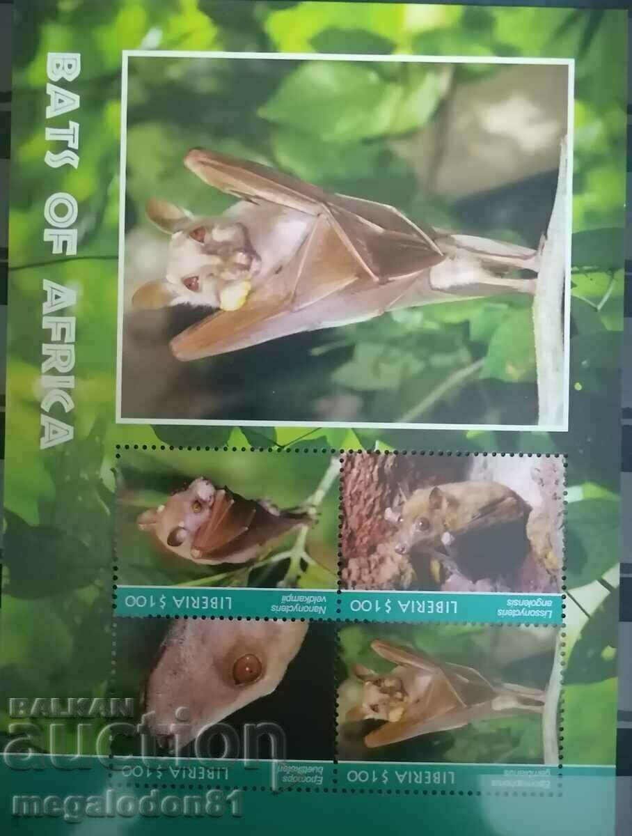 Delivery of Liberia - fauna, African bats Delivery of Liberia - fauna, African bats