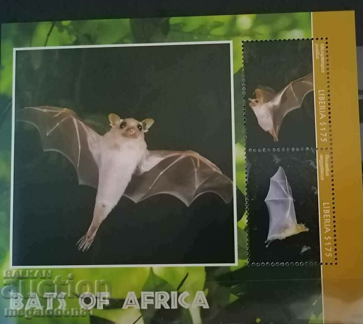 Liberia - fauna, lilieci africani