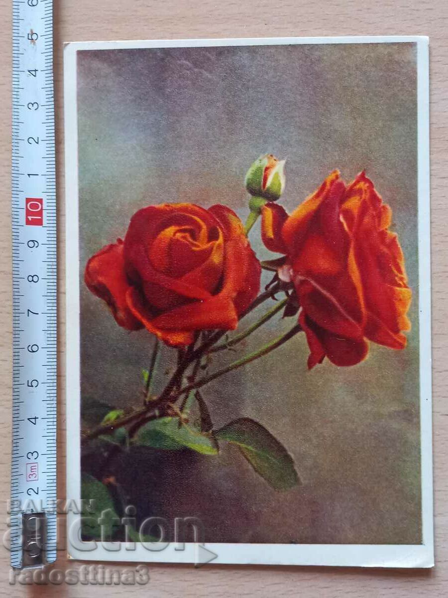 Картичка Цветя  Postcard Flowers