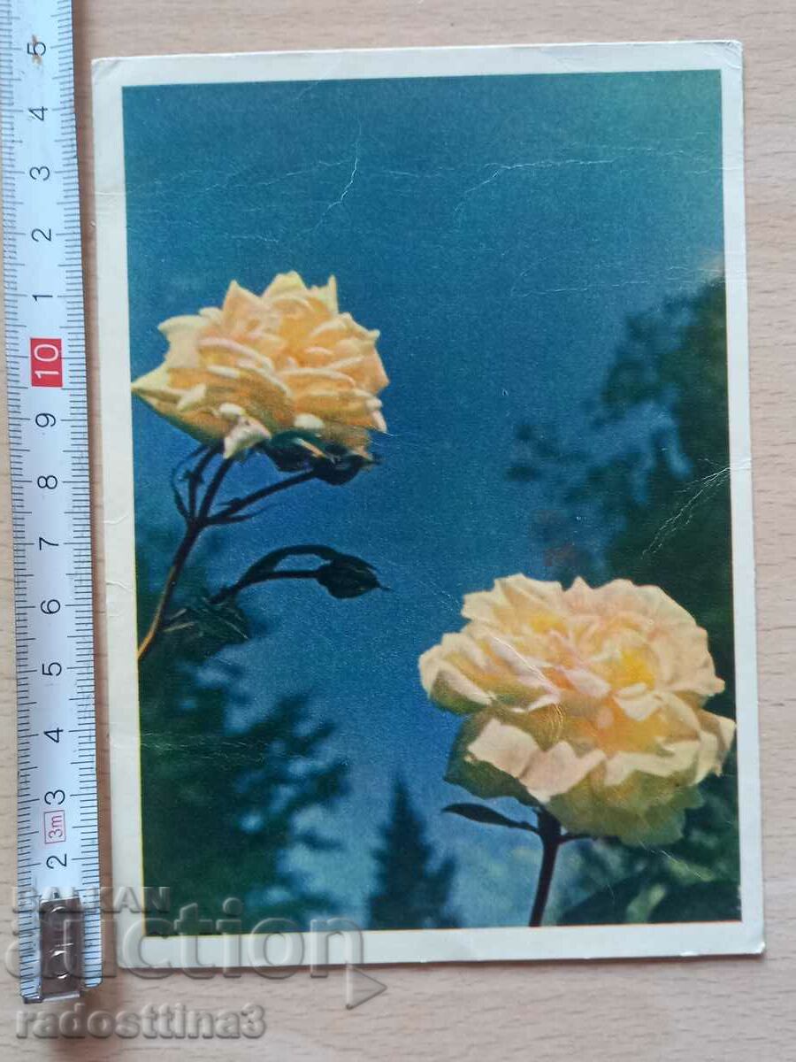 Κάρτα Λουλούδια Καρτ ποστάλ Λουλούδια
