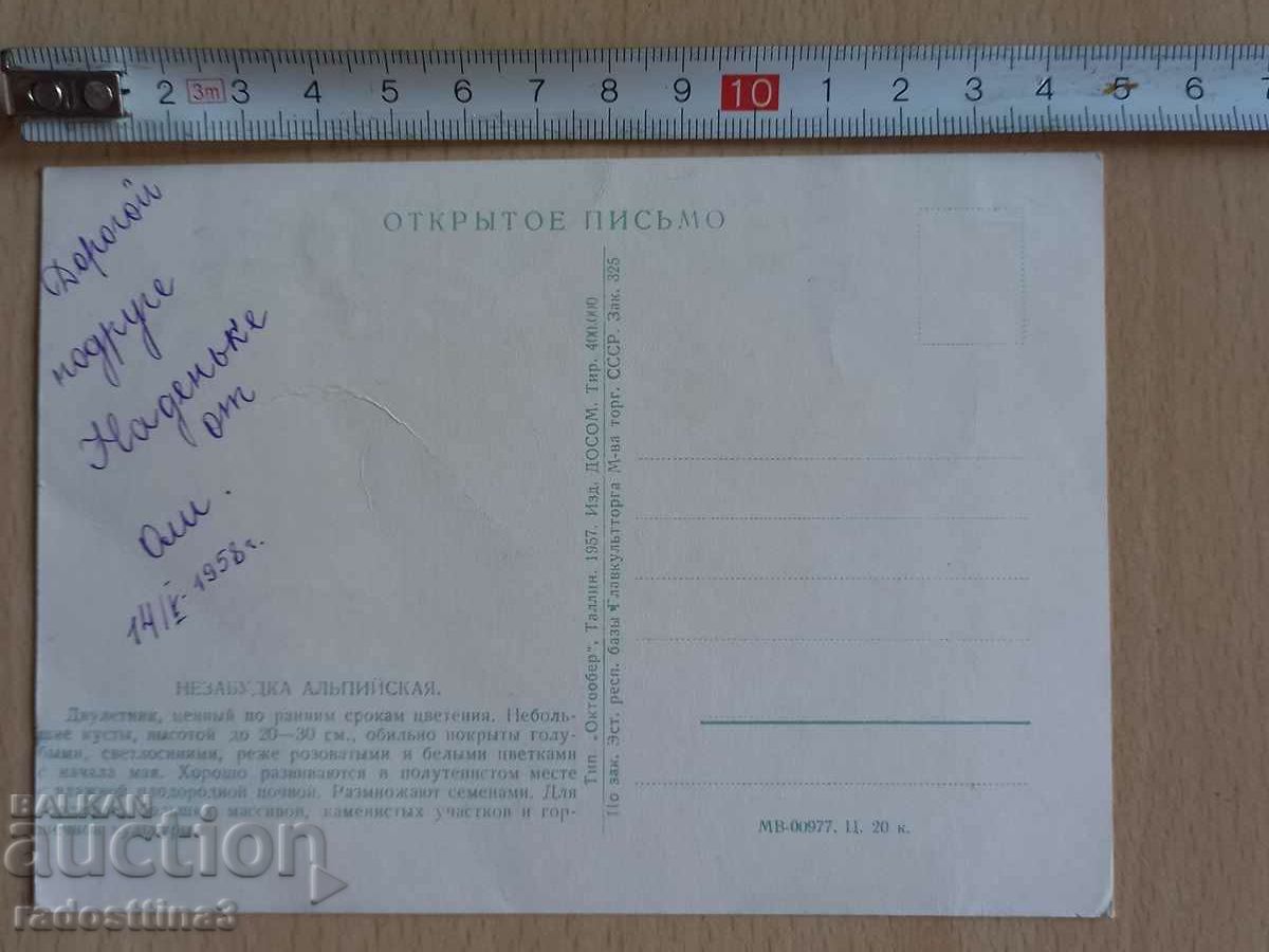 Card Flowers Postcard Flowers with price 1.99 BGN | € 1.02 Card Flowers Postcard Flowers with price 1.99 BGN | € 1.02