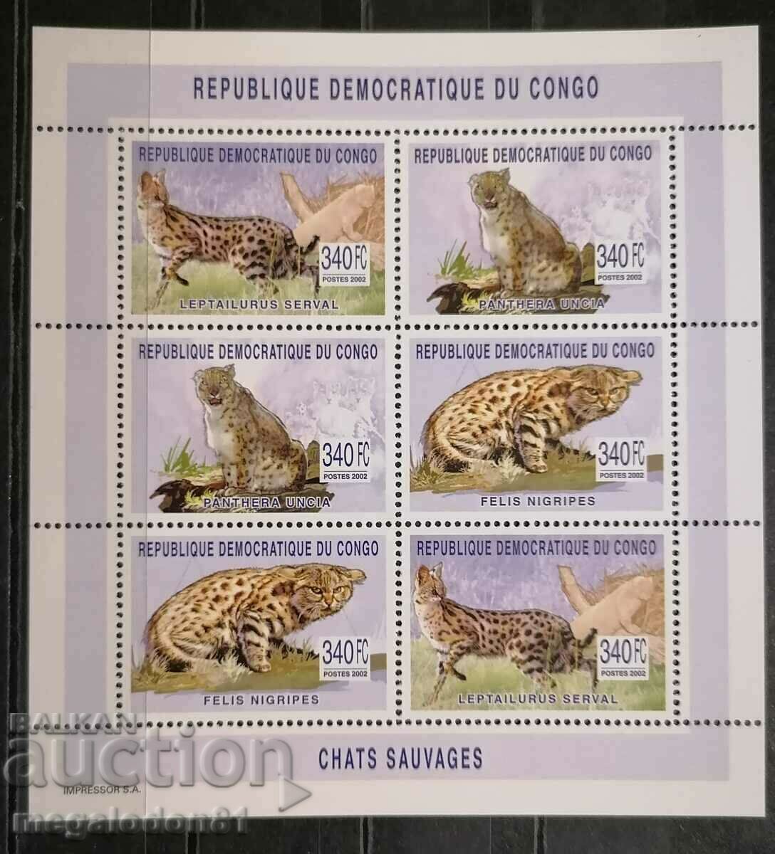 Rep. Congo - wild cats