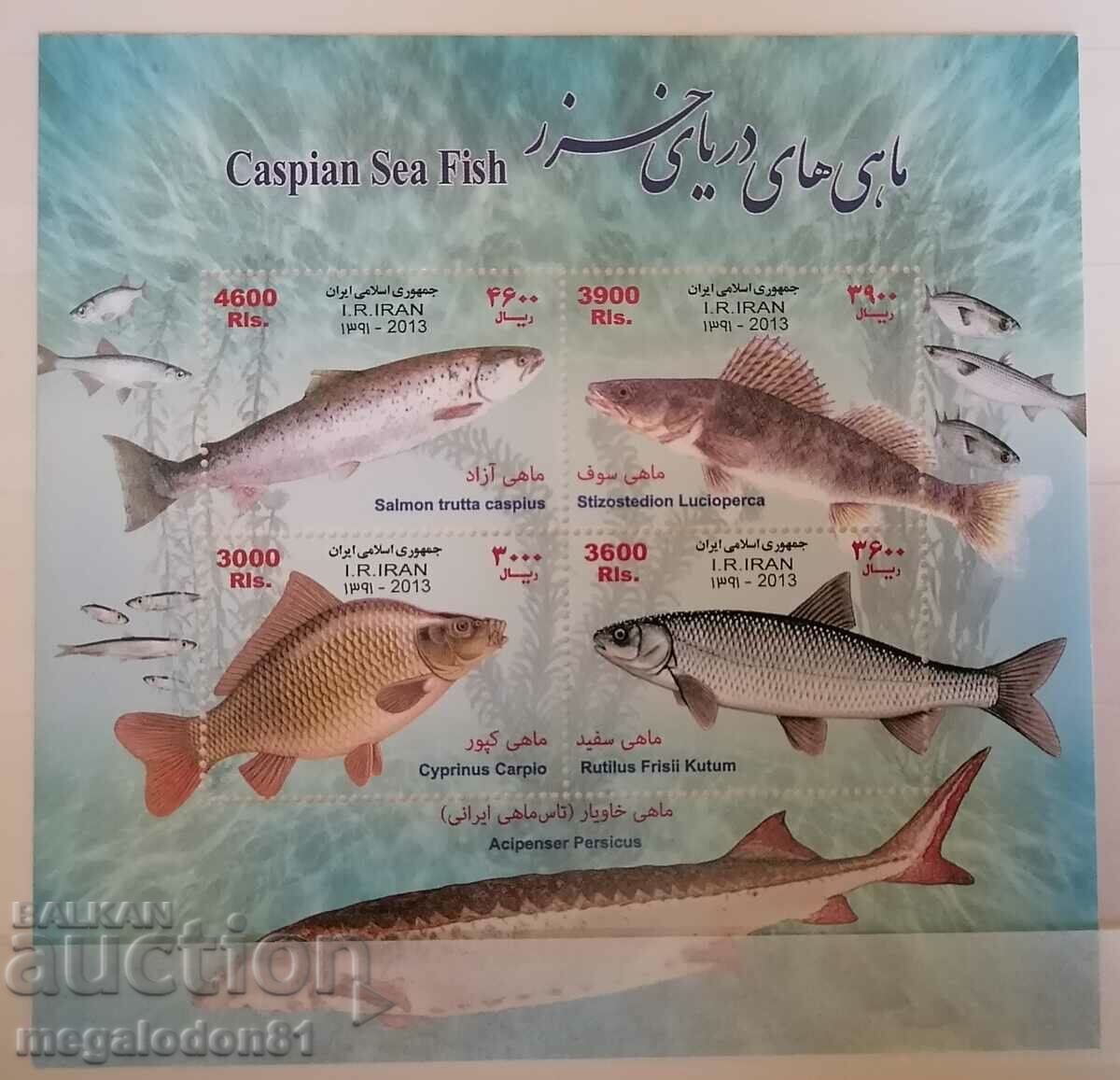 Иран - риби от Каспийския басейн