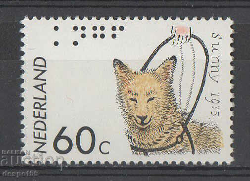 1985. Olanda. Societatea Regală pentru Câini Ghid.