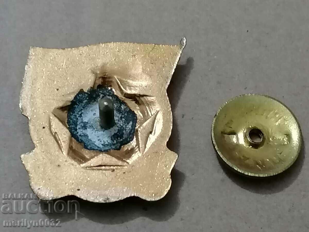 Breastplate DOSO Medal Badge - 6 Breastplate DOSO Medal Badge - 6