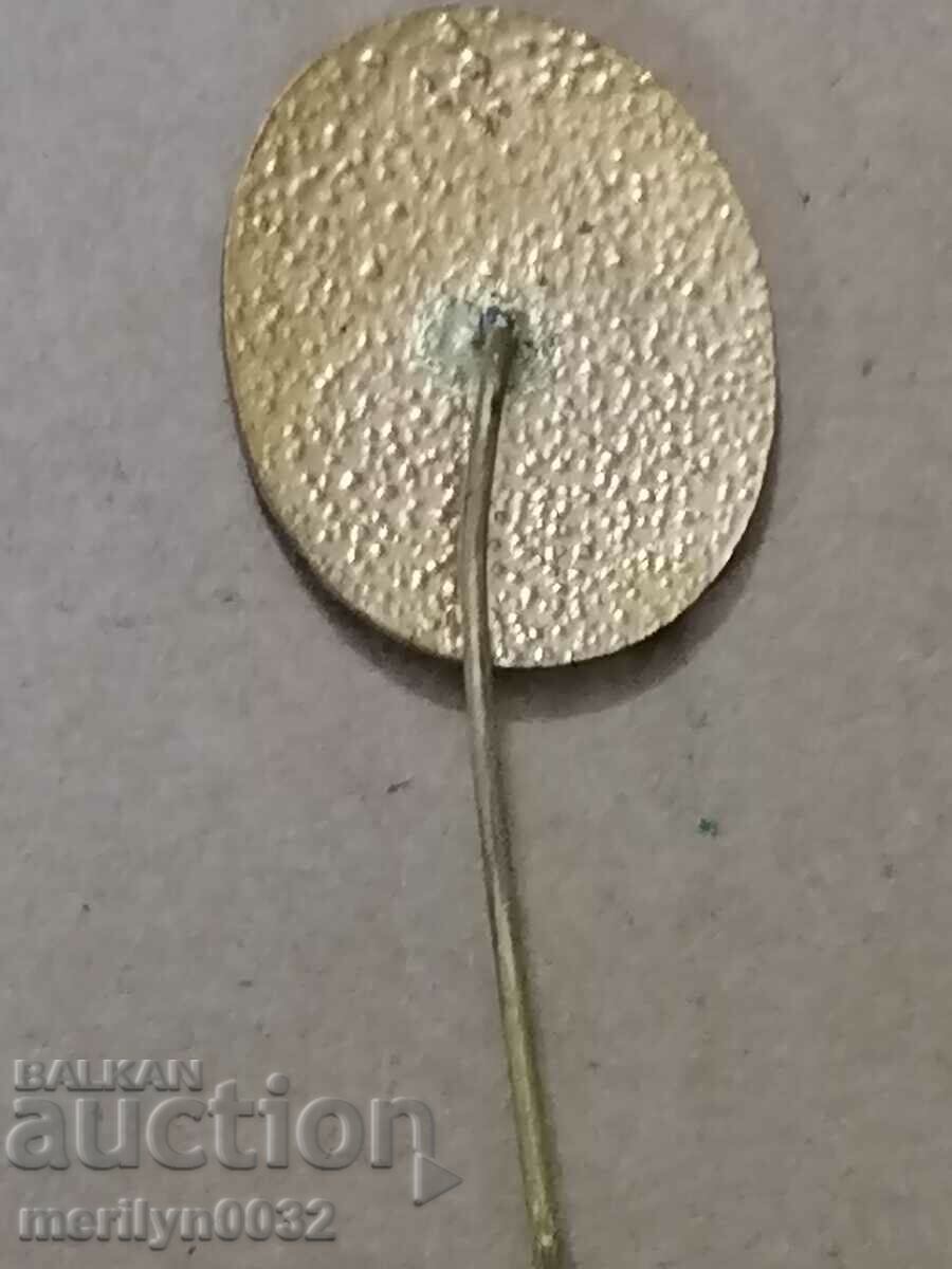 Badge Nature lover medal badge - 5 Badge Nature lover medal badge - 5