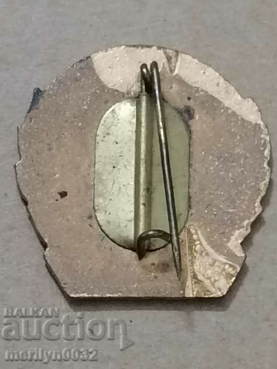 Delivery of VENSEREMOS Medal Badge Badge Delivery of VENSEREMOS Medal Badge Badge