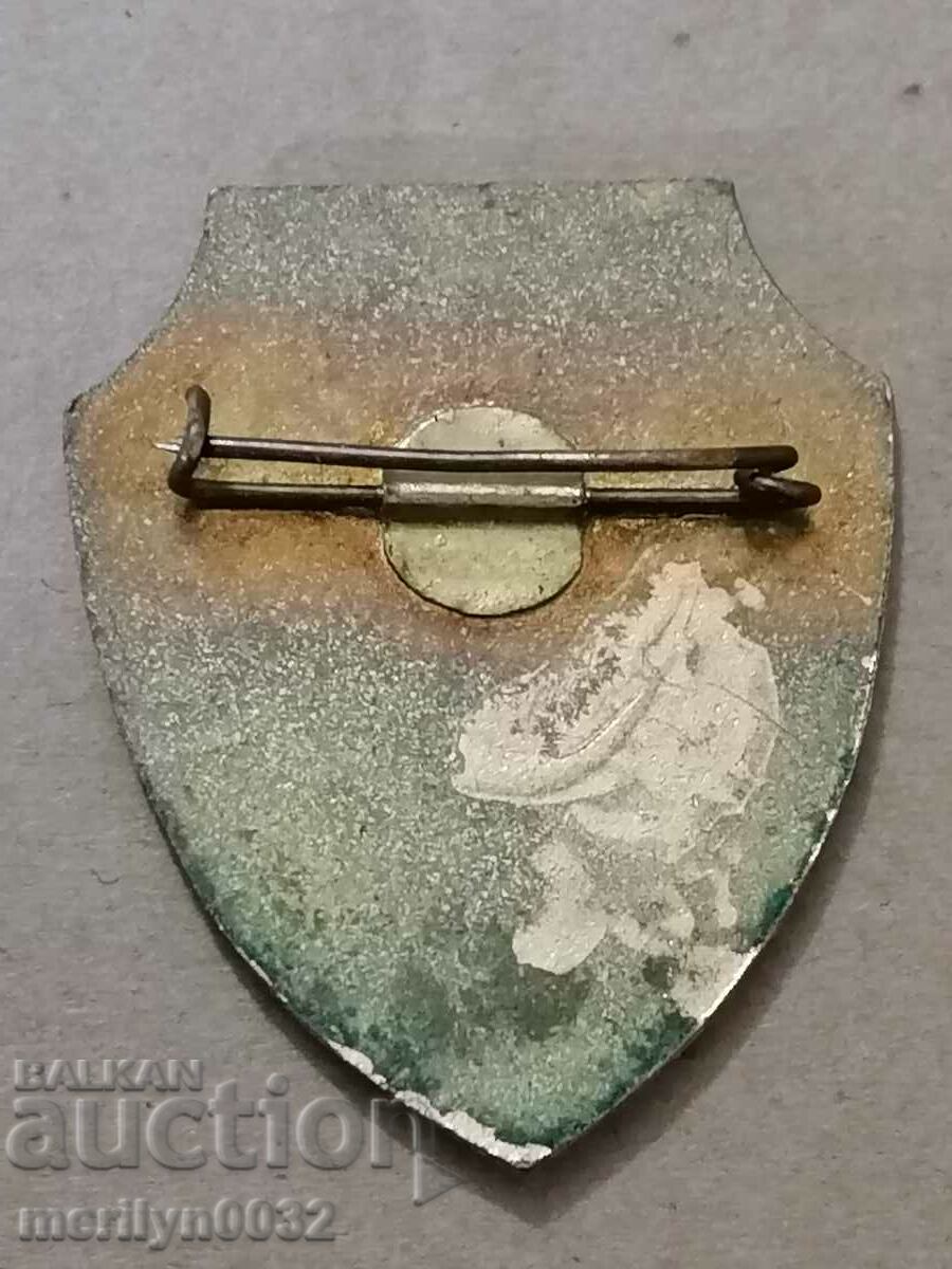 Livrarea Badge Badge Medal Badge Badge Livrarea Badge Badge Medal Badge Badge