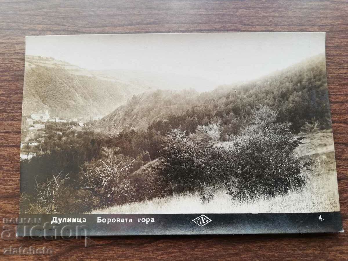 Carte poștală Regatul Bulgariei - Dupnitsa Borovata Gora cu preț 12.00 BGN | € 6.14 Carte poștală Regatul Bulgariei - Dupnitsa Borovata Gora cu preț 12.00 BGN | € 6.14
