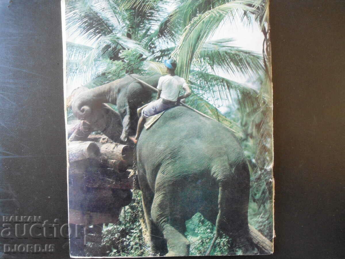 Auction Cosmos magazine, 1 issue 1976. Auction Cosmos magazine, 1 issue 1976.