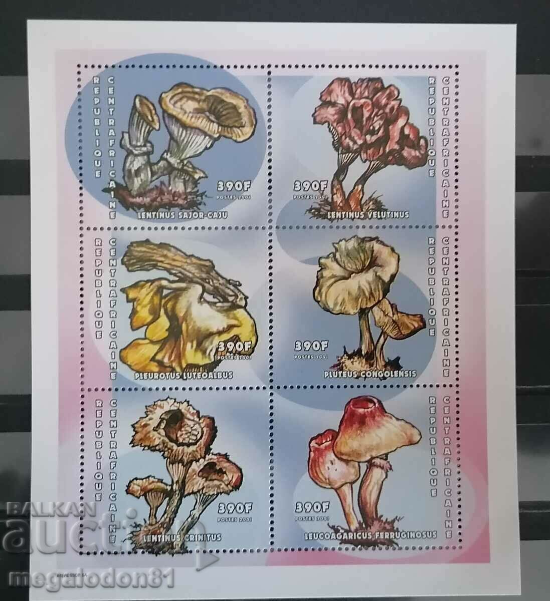 Central Africa - mushrooms with price 7.00 BGN | € 3.58 Central Africa - mushrooms with price 7.00 BGN | € 3.58