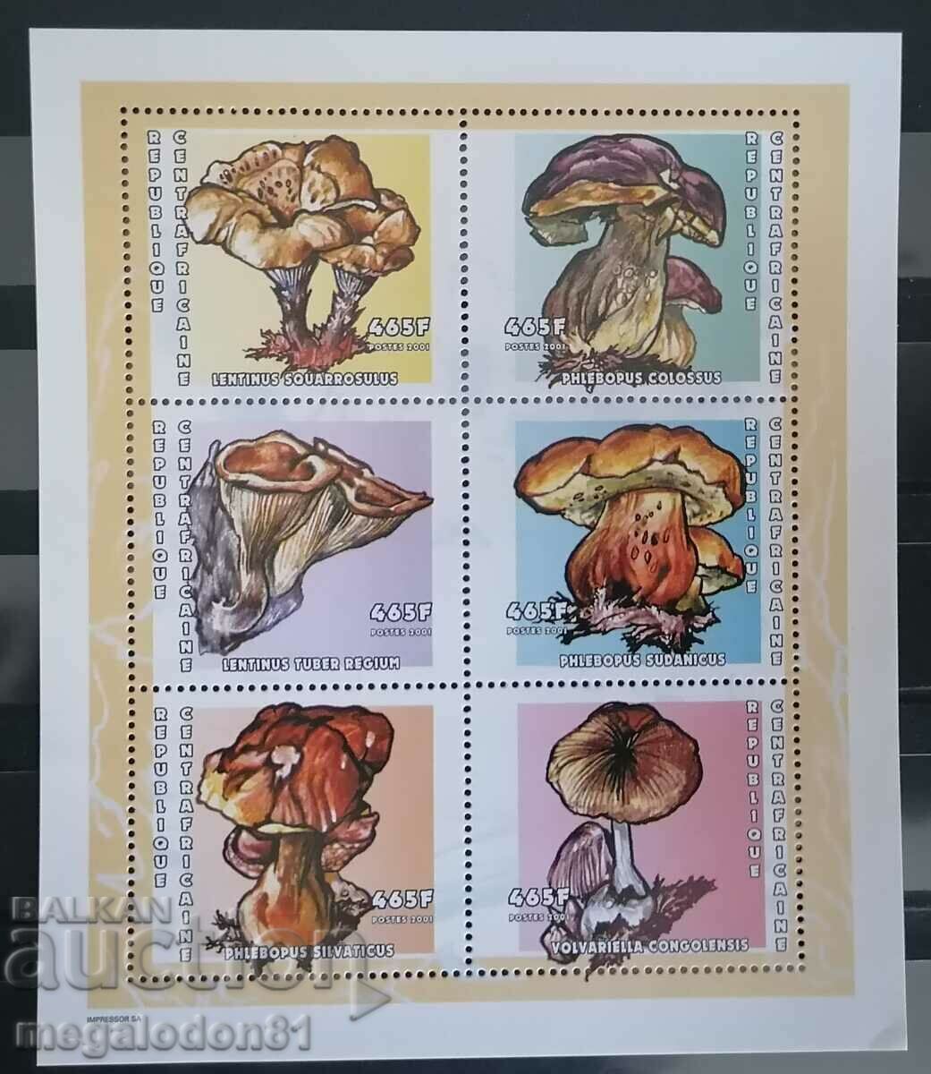 Central Africa - mushrooms