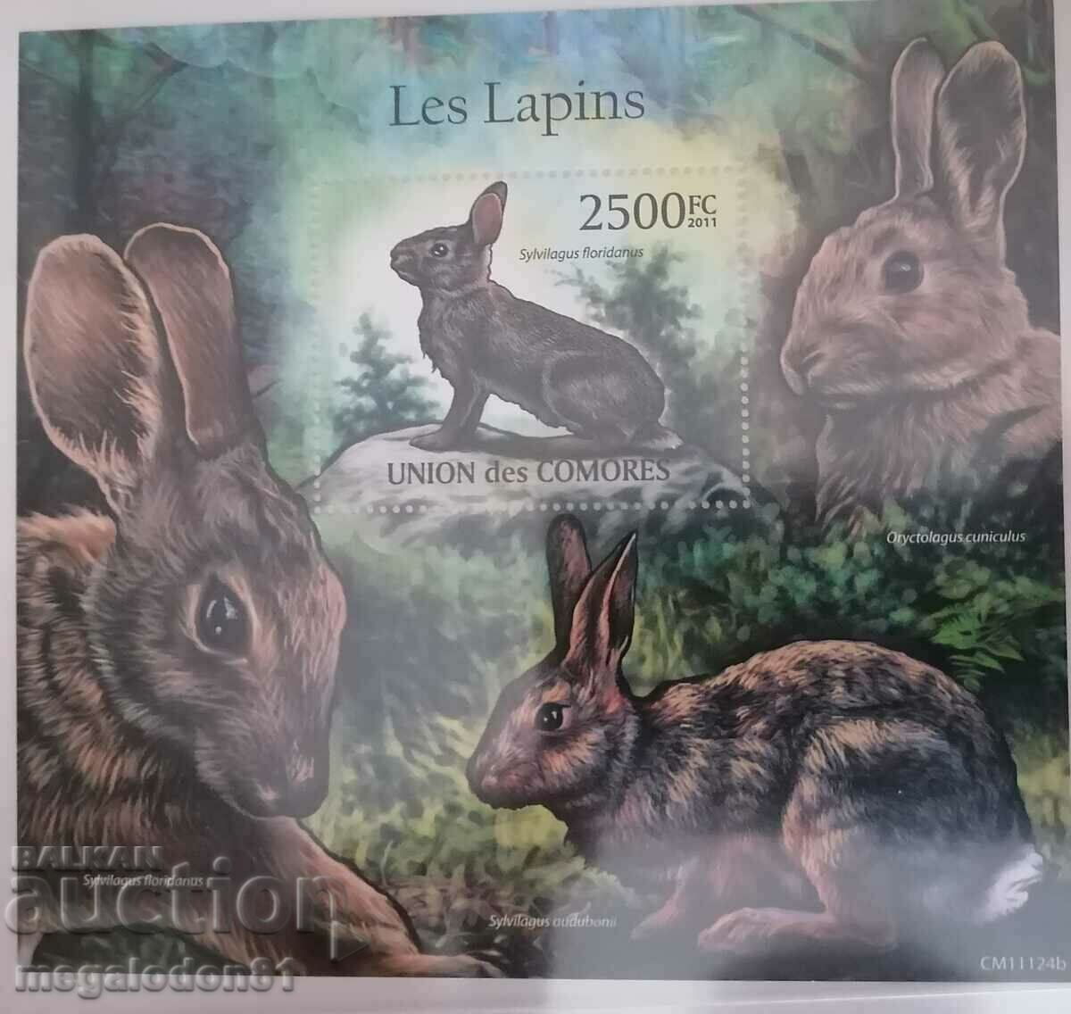 Chambers - fauna, wild rabbits with price 6.00 BGN | € 3.07 Chambers - fauna, wild rabbits with price 6.00 BGN | € 3.07