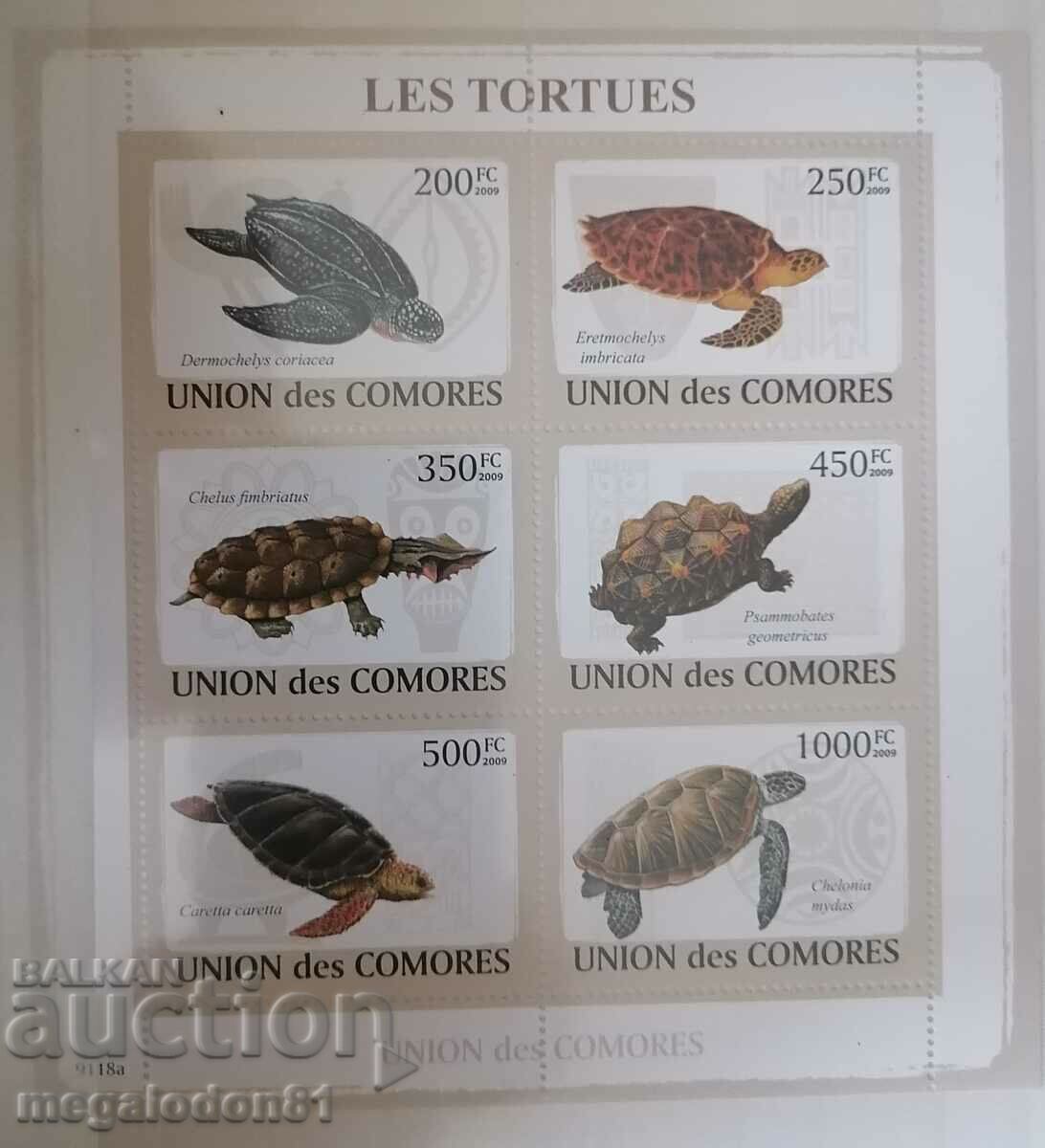 Коморите - фауна, морски костенурки
