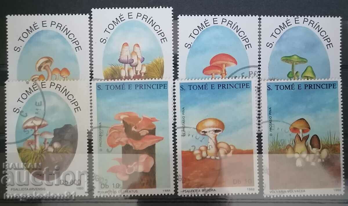 Sao Tome mushrooms