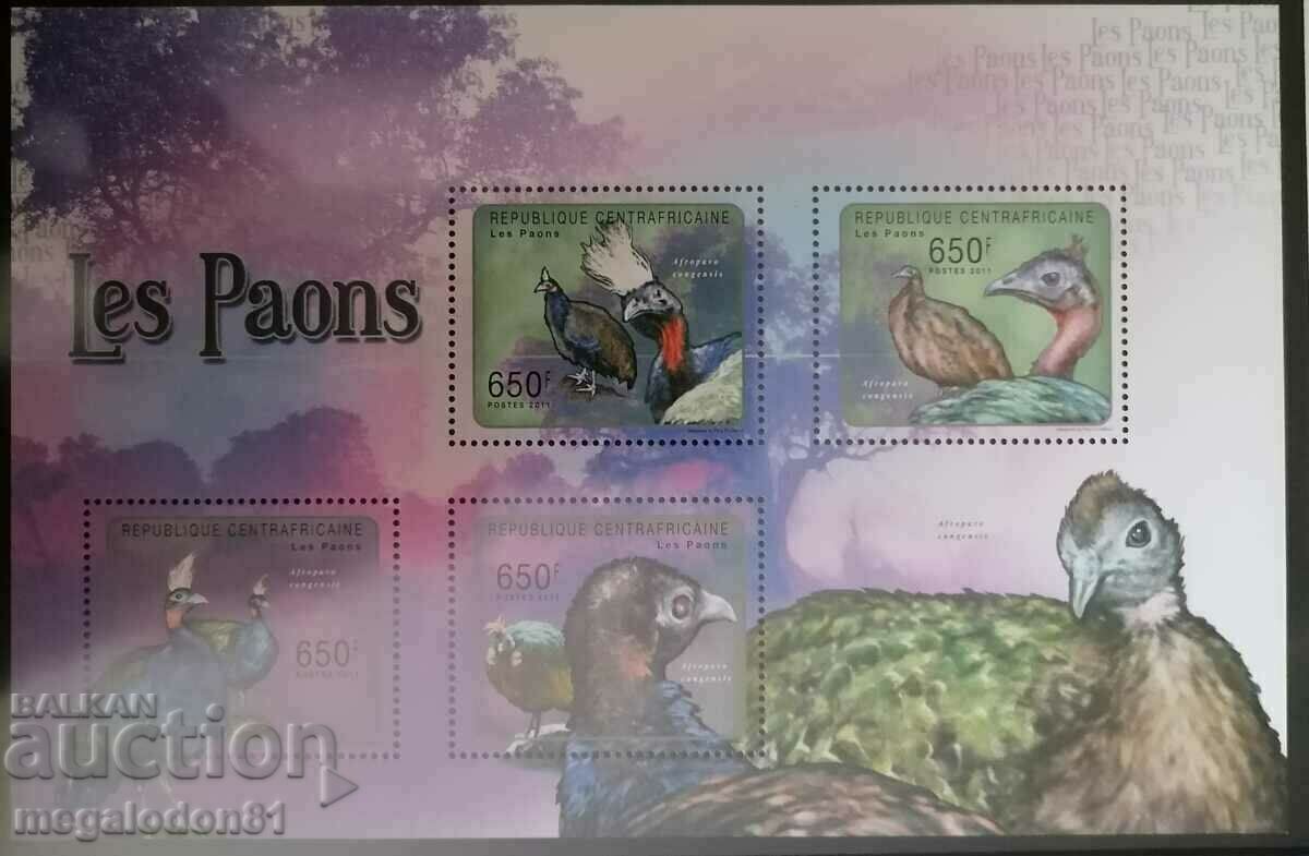 Централна Африка  - пауни