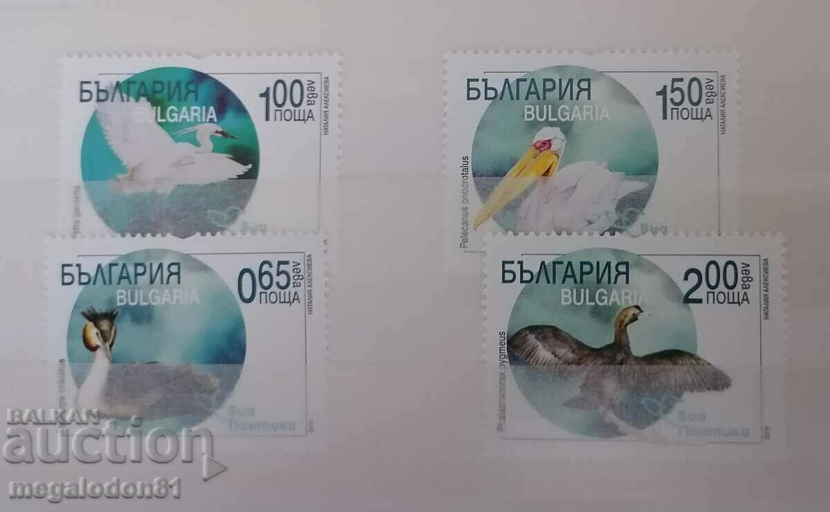 България - Виа Понтика, водоплаващи птици