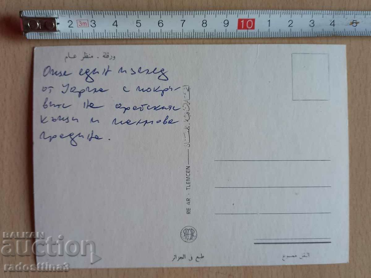 Καρτ ποστάλ Αλγερία Καρτ ποστάλ Αλγερία με τιμή 2.99 BGN | € 1.53 Καρτ ποστάλ Αλγερία Καρτ ποστάλ Αλγερία με τιμή 2.99 BGN | € 1.53