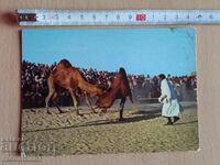 Картичка Тунис   Postcard Tunisien