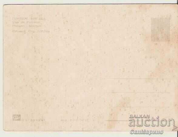 Картичка Bulgaria Pleven View 3 * with price 0.70 BGN | € 0.36 Картичка Bulgaria Pleven View 3 * with price 0.70 BGN | € 0.36