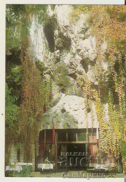 Картичка  България  Плевен Парк"Кайлъка"Ресторант Пещерата5*