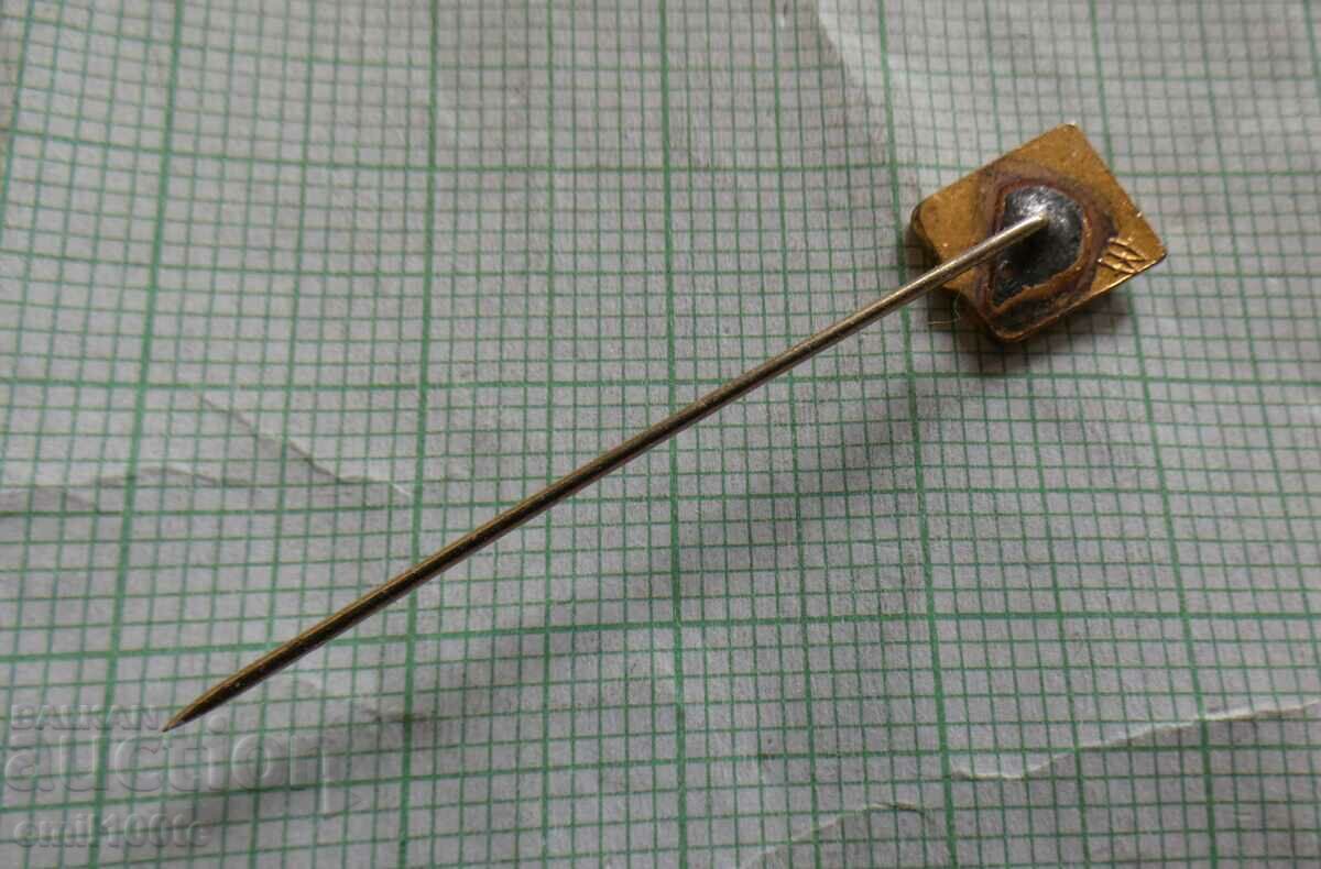 Auction  Badge - AZS Student Sports and Football Club Poland