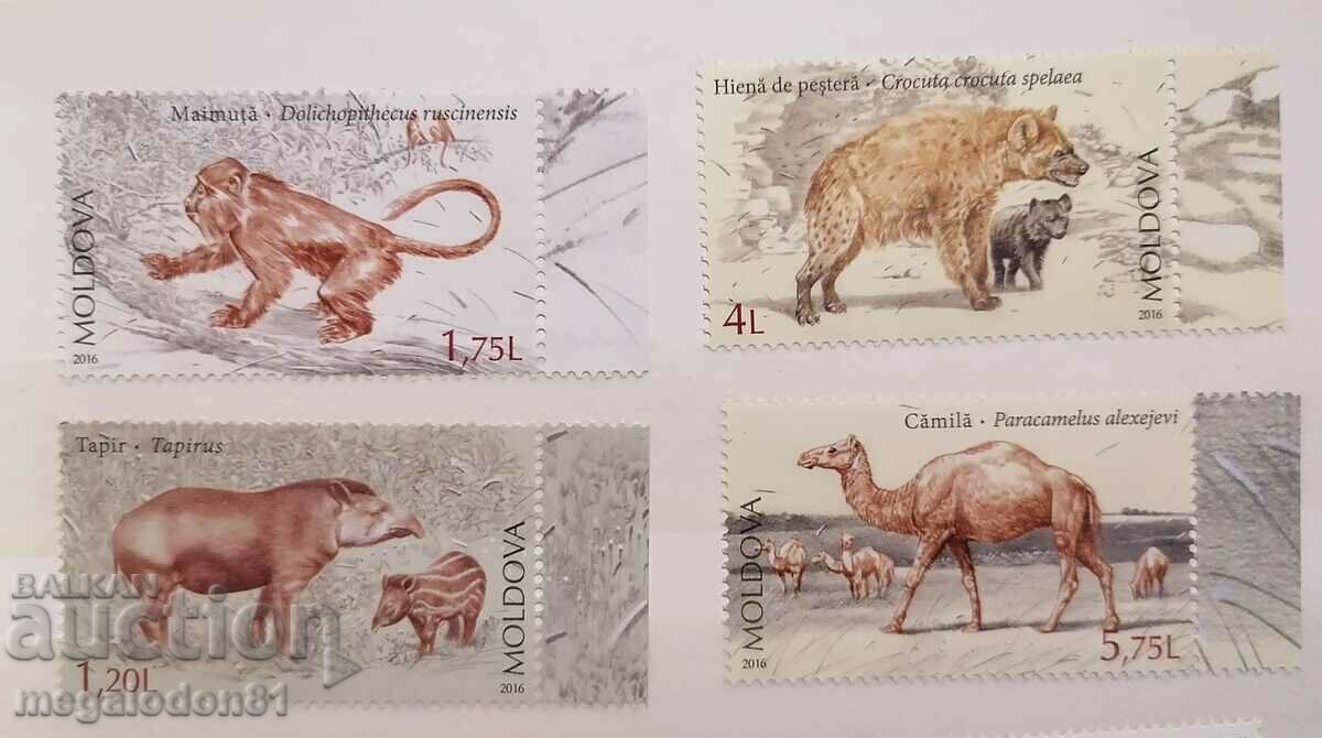 Moldova - prehistoric fauna