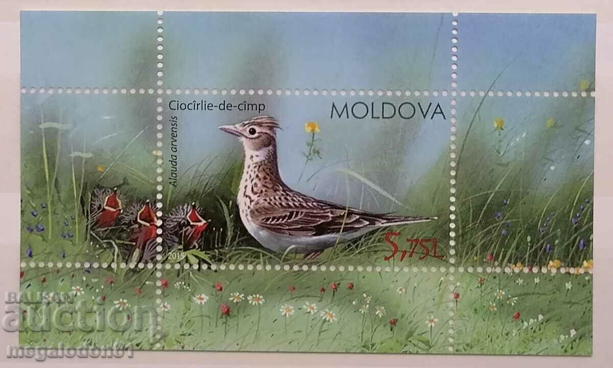 Μολδαβία - πανίδα, πουλί