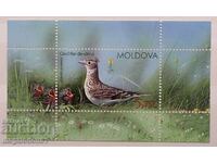 Moldova - fauna, pasare