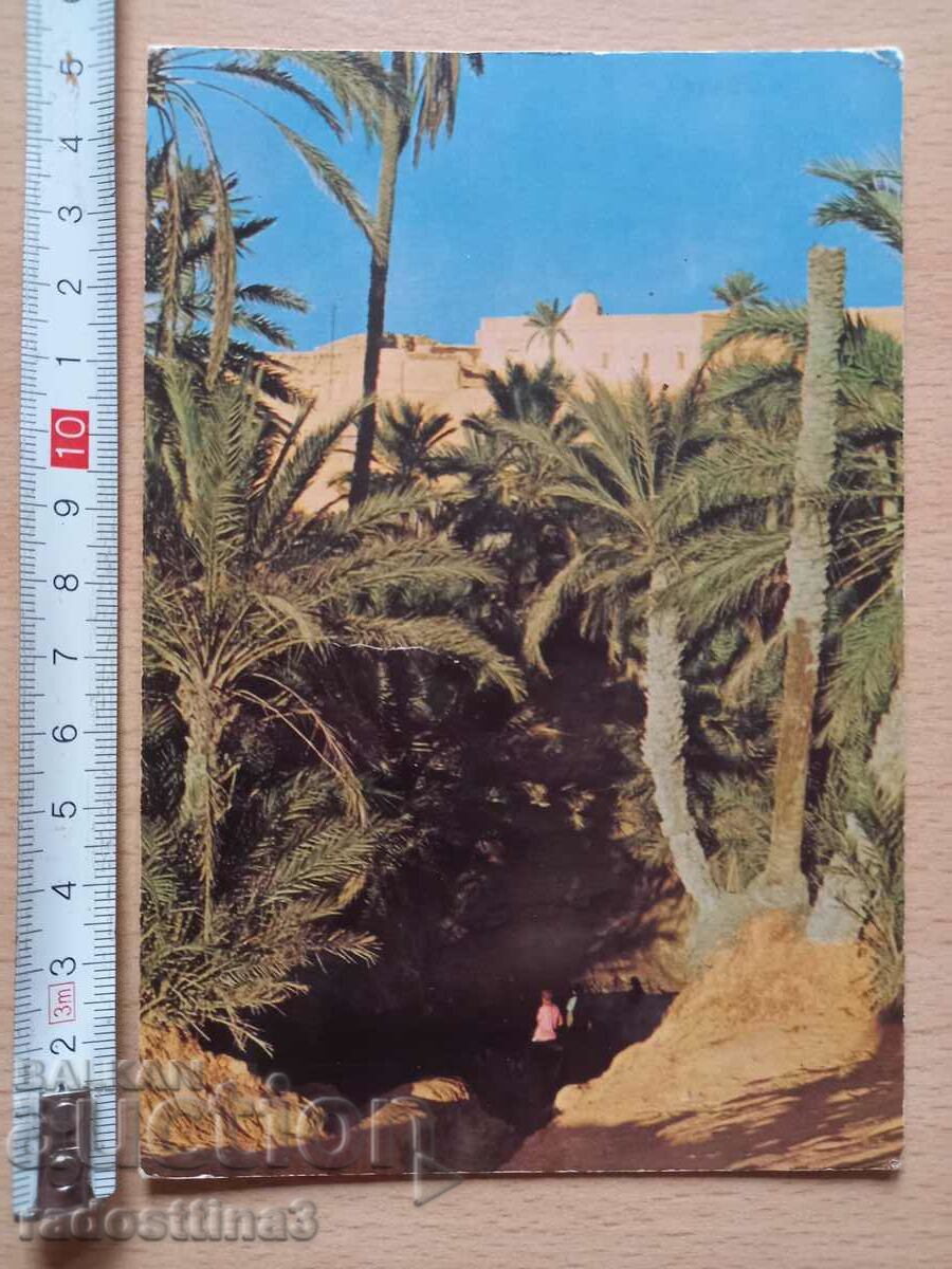 Tunis Postcard Tunis/Tunisienne