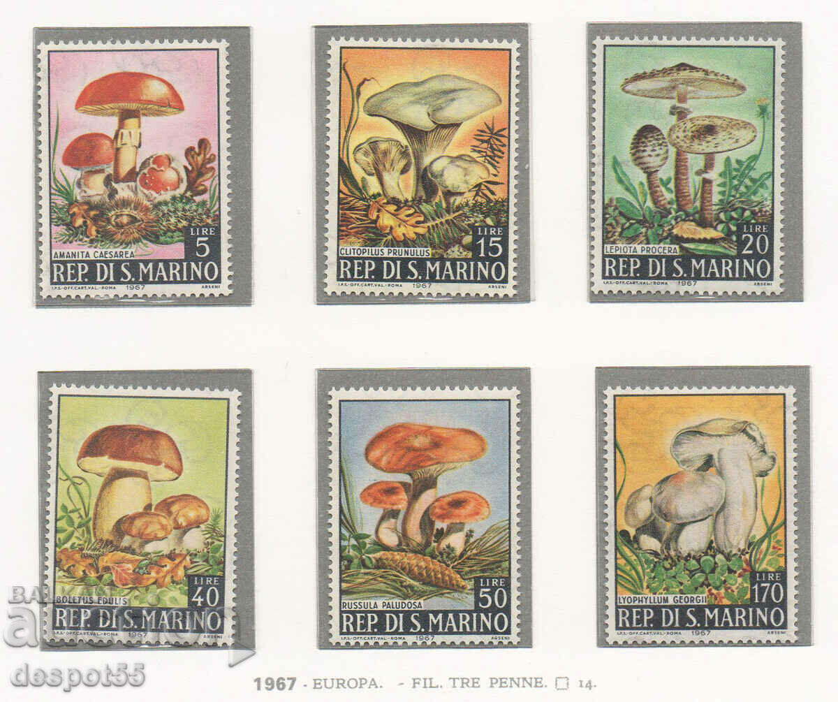 1967. San Marino. Mushrooms.