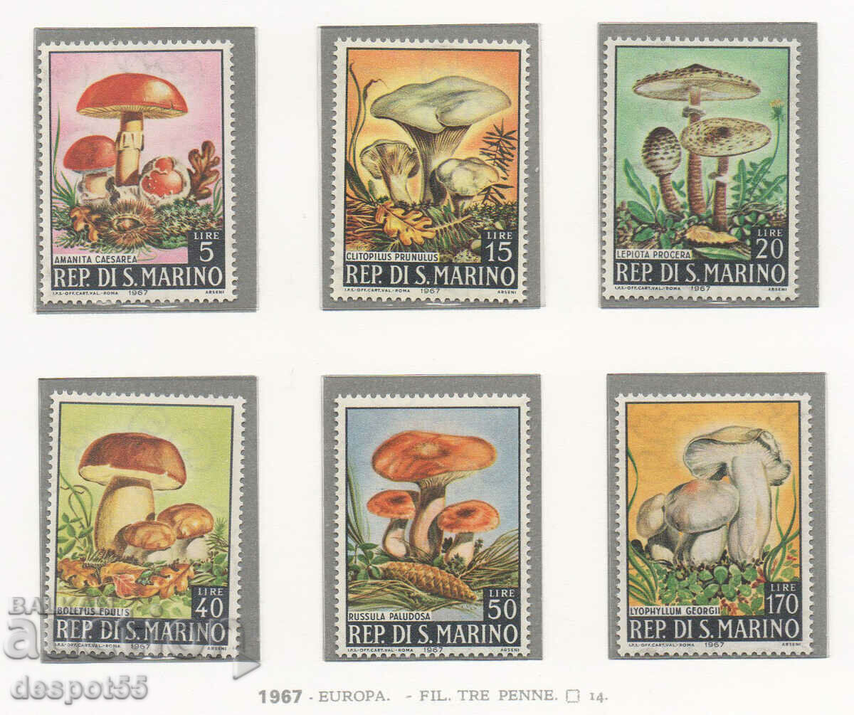 1967. San Marino. Mushrooms 1967. San Marino. Mushrooms