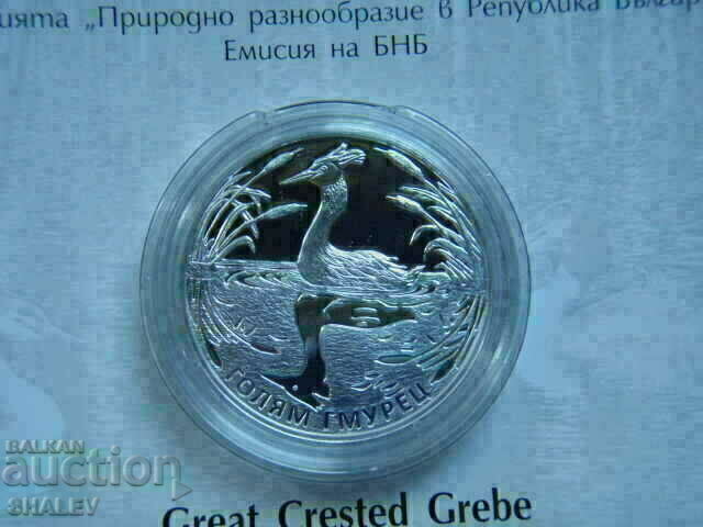 BGN 10, 2022 "Big Diver" - Proof - 7 BGN 10, 2022 "Big Diver" - Proof - 7