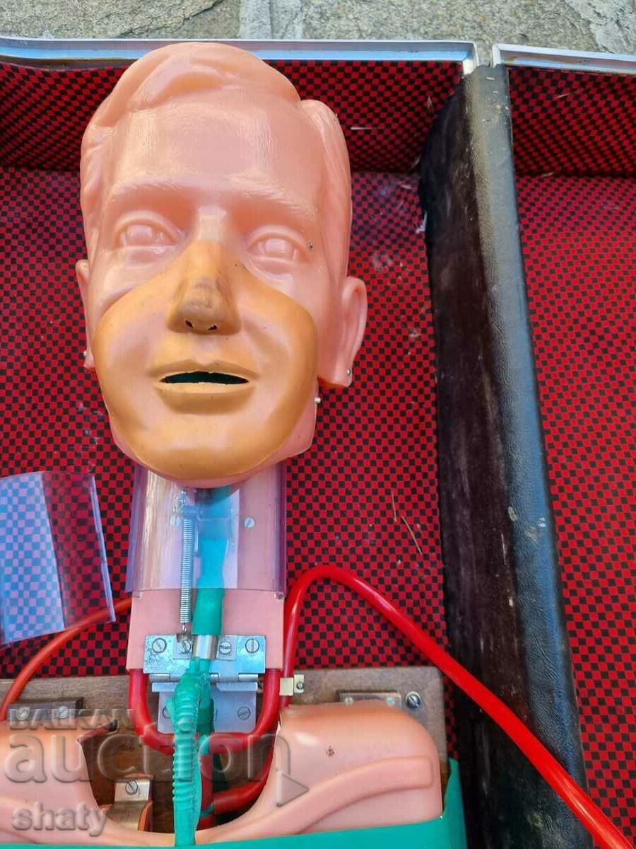 BG medical training manikin. BCHK with price 235.00 BGN | € 120.15 BG medical training manikin. BCHK with price 235.00 BGN | € 120.15