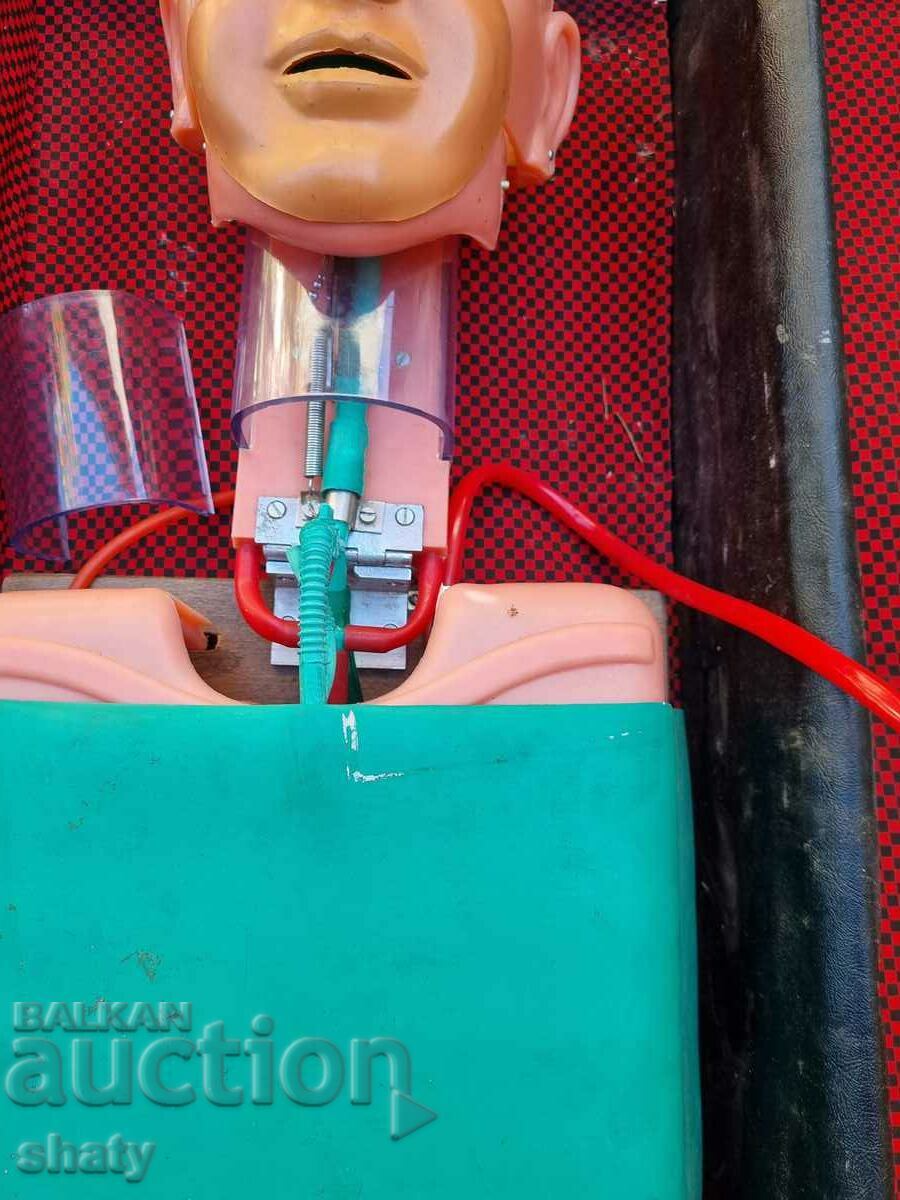 Auction BG medical training manikin. BCHK Auction BG medical training manikin. BCHK