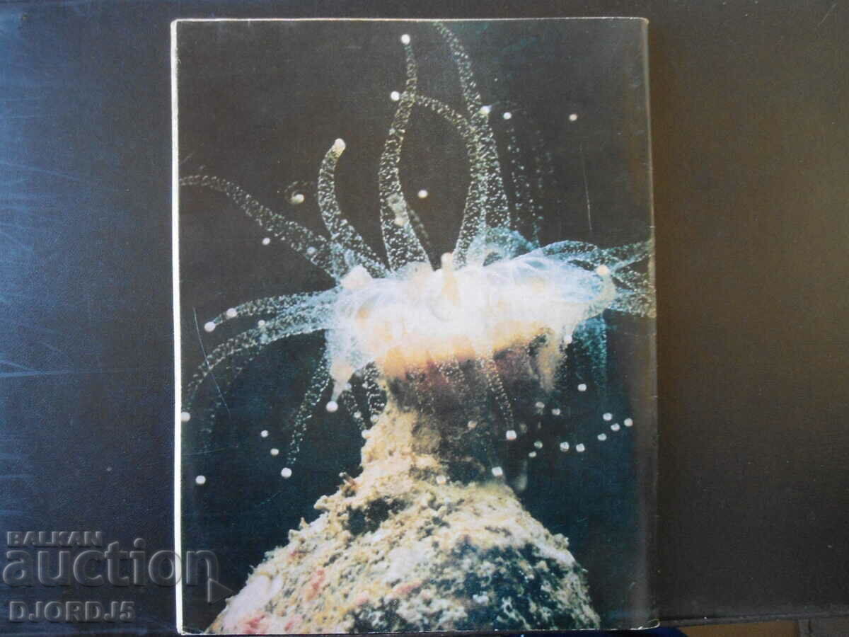 Cosmos magazine, 1 issue 1978. with price 2.50 BGN | € 1.28 Cosmos magazine, 1 issue 1978. with price 2.50 BGN | € 1.28