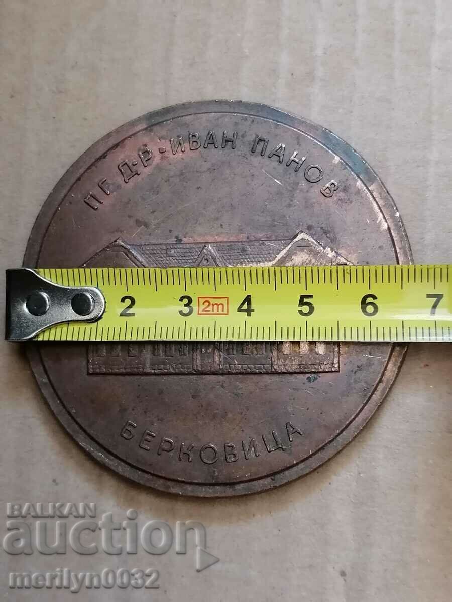 Plaque for DISTINCTION Dr. Ivan Panov Berkovitsa - 5