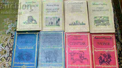 Delivery of 28 World Classic books