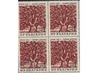 БК 1559 1 ст. каре ековни дървета, орехът в с.Г.Дряново